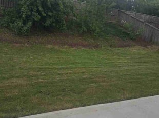 Weeding by Khalid Muhammad for Terrell C. in Cary, NC