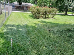 Kelvin S.'s Lawn Maintenance service result