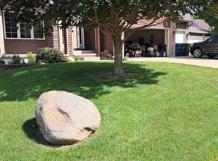 Mariya G.'s Yard Cutting service result
