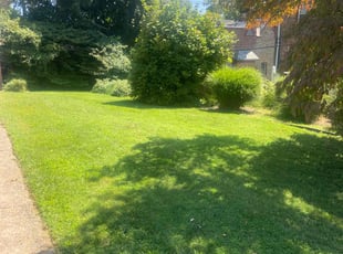 Henrietta R. O.'s Lawn Mowing service result