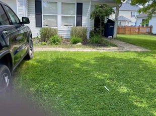 Bush Trimming by John Johnson for Dorothy F. in Noblesville, IN