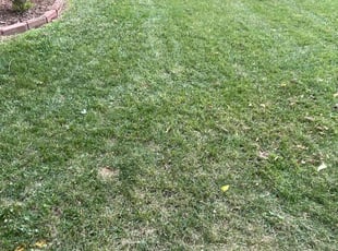 Landscaping by Matthew Garcia for Melinda J. in Independence, MO