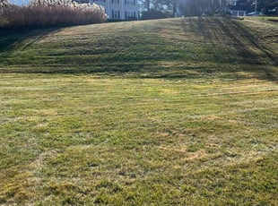 Adeolu F.'s Lawn Care service result