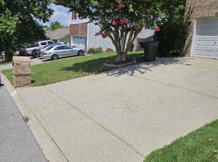 Teresa B.'s Lawn Mowing service result