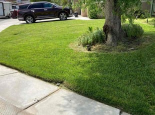 Andre W.'s Lawn Service service result