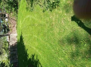 Michael U.'s Lawn Care service result