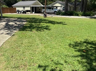 Rosilene B.'s Lawn Service service result