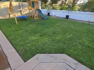 Griselda N.'s Lawn Care service result