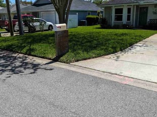 Carla B.'s Lawn Mowing service result