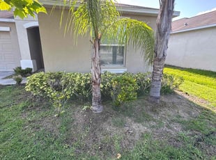 James G.'s Bush Trimming service result
