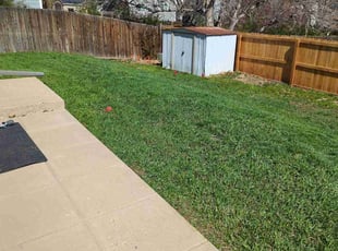 Tariq A.'s Lawn Care service result