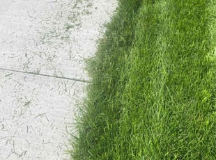 Nichole T.'s Lawn Mowing Service service result