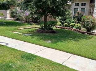Brinda H.'s Lawn Care service result