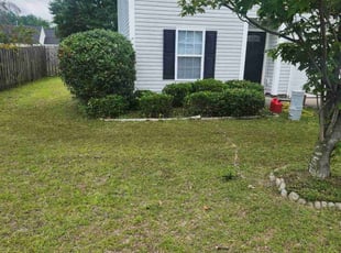 Bush Trimming by Rodney Rhone for Hannah B. in Lexington, SC