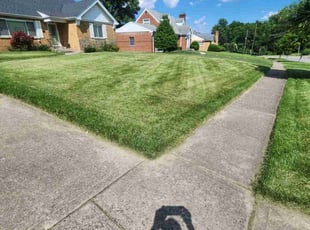 Daniel S.'s Lawn Service service result