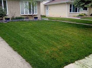 Lisa W.'s Lawn Mowing Service service result