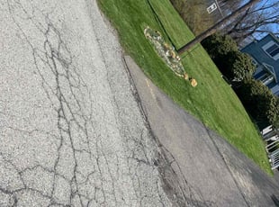 Joshua R.'s Lawn Service service result
