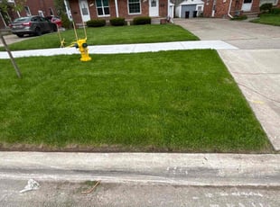 Lei C.'s Lawn Care service result