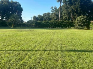 Scott E.'s Lawn Service service result