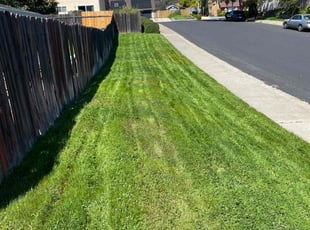 Melinda W.'s Lawn Mowing Service service result
