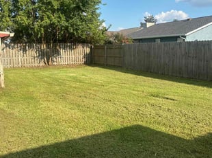 Monica L.'s Lawn Mowing Service service result