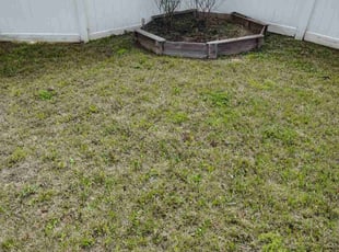 Weeding by Jaquarius McKay for Juala S. in Concord, NC