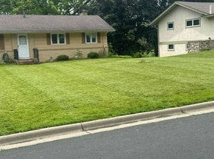 Iona D.'s Lawn Service service result