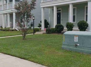 Claudette W.'s Lawn Mowing service result