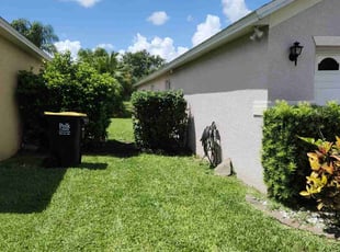 Bush Trimming by Widalbert Ortiz for Irina I. in Davenport, FL