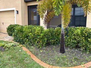 Bush Trimming by Elder Javier for Arnick D. in Port St. Lucie, FL
