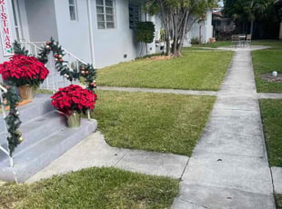 Lyle G.'s Lawn Mowing Service service result