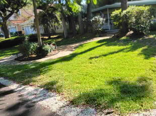 Michael B.'s Yard Cutting service result