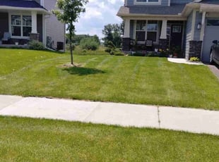 Ramesh S.'s Lawn Care service result