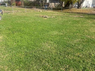 Debrisha M.'s Lawn Maintenance service result