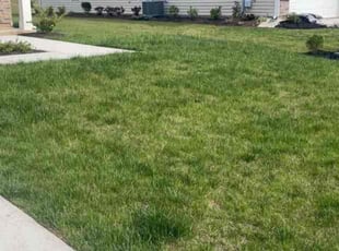 Shane V.'s Lawn Service service result