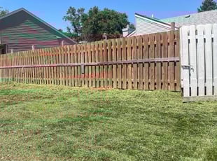 Lindsey H.'s Lawn Mowing service result