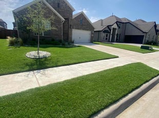 Amy B.'s Lawn Mowing service result