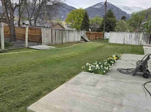 Elisa T.'s Lawn Service service result