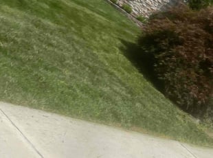 Karen M.'s Grass Cutting service result