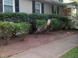 Cleanups by Marlo Page for Wendy I. in Richmond, VA