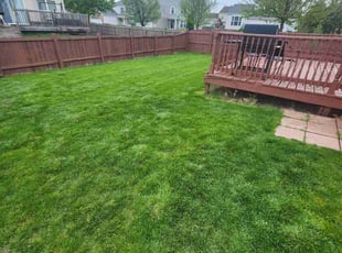 Angelique G.'s Lawn Mowing service result