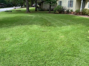 John J.'s Lawn Care service result