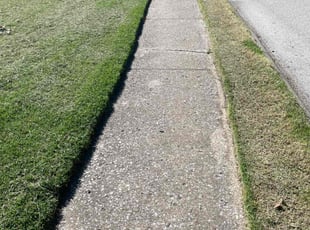 Felecia J.'s Lawn Service service result