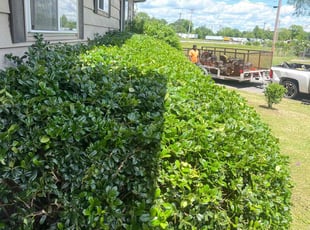 Bush Trimming by Brian McMiller for Amanda B. in North Little Rock, AR