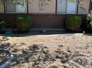 Bush Trimming by Scott Ellis for Chris W. in Boise, ID