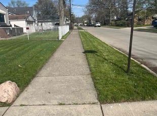 Angela P.'s Lawn Mowing Service service result