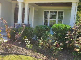 Bush Trimming by Michael steele for Michael B. in Holly Springs, NC