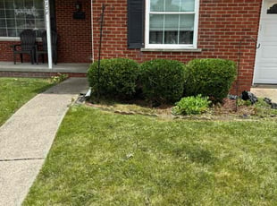 Bush Trimming by Robert Elchuk for Erica G. in Warren, MI
