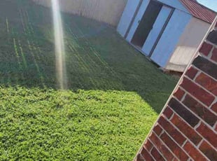Asha J.'s Lawn Care service result