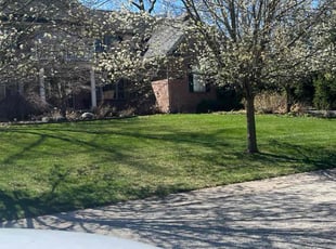 Lori D.'s Lawn Service service result